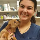 Business 15 image SMALL CREATURES PET CLINIC Veterinarians in Langley BC