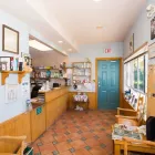 Business 16 image SMALL CREATURES PET CLINIC Veterinarians in Langley BC