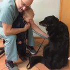 Business 22 image SMALL CREATURES PET CLINIC Veterinarians in Langley BC