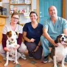 Business 4 image SMALL CREATURES PET CLINIC Veterinarians in Langley BC