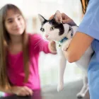 Business 36 image SMALL CREATURES PET CLINIC Veterinarians in Langley BC