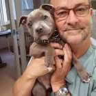 Business 5 image SMALL CREATURES PET CLINIC Veterinarians in Langley BC