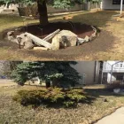 Entreprises 9 image SMOOTH MOVES IN & OUT Real Estate & Home Improvement dans Red Deer AB