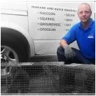 Business 3 image SOS WILDLIFE CONTROL Pesticides & Agricultural Chemicals in Toronto ON