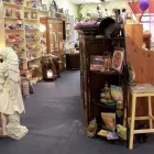 Entreprises 1 image SOUL FOOD BOOKS ETC Clairvoyants & Psychics dans Calgary AB