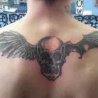 Entreprises 1 image SOUTH OF HEAVEN TATTOOS & BODY PIERCING Tattoos & Body Piercing dans Winnipeg MB