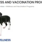 Business 1 image SOUTH PEEL VETERINARY HOSPITAL Veterinarians in Mississauga ON