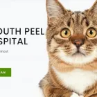 Business 2 image SOUTH PEEL VETERINARY HOSPITAL Veterinarians in Mississauga ON