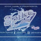 Business 3 image SPIKE ON THE WATER Water Sports in Toronto ON