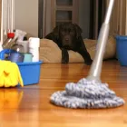 Business 1 image SPOTLESS EDMONTON LTD Cleaning Services in Edmonton AB