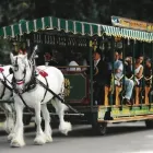 Business 2 image STANLEY PARK HORSE DRAWN TOURS LTD travel & tourism in Vancouver BC
