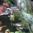 Business 32 image STEVE'S MASONRY SERVICE Masonry Contractors in Victoria BC