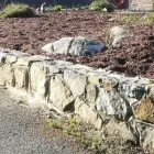 Business 50 image STEVE'S MASONRY SERVICE Masonry Contractors in Victoria BC