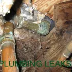 Business 4 image STINGER HOME INSPECTIONS Real Estate & Home Improvement in Surrey BC