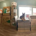 Entreprises 3 image STOR-MOR STORAGE Storage Facilities & Self-Storage Units dans Red Deer AB