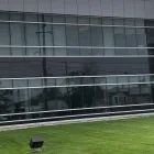 Business 6 image STRATUS BUILDING SOLUTIONS Cleaning Services in Burlington ON