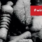 Business 14 image STUDIO CYCLE GROUP Motorcycles & Scooters in Toronto ON