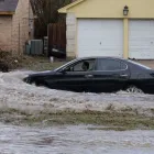 Entreprises 3 image STUTTERS DISASTER KLEENUP Real Estate & Home Improvement dans Vernon BC