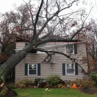 Entreprises 1 image STUTTERS DISASTER KLEENUP Real Estate & Home Improvement dans Vernon BC