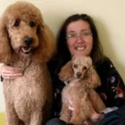 Business 5 image SUDS 'N' SCISSORS PET SALON Pet Grooming Services in Victoria BC