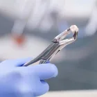 Entreprises 1 image SUMMIT HEIGHTS DENTAL Health & Medicine dans North York ON