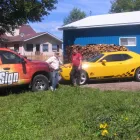 Business 1 image SUN SIGN GRAPHICS Signs, Banners & Display Systems in Pembroke ON