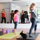 Business 1 image SUNBERRY FITNESS Sports & Recreation in Richmond BC