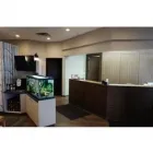 Entreprises 5 image SUNDANCE DENTAL CLINIC Health & Medicine dans Calgary AB