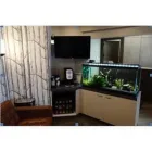 Entreprises 12 image SUNDANCE DENTAL CLINIC Health & Medicine dans Calgary AB