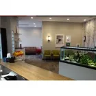 Entreprises 3 image SUNDANCE DENTAL CLINIC Health & Medicine dans Calgary AB