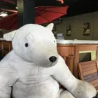 Business 10 image SUNSET BAY LEISURE Shopping in Regina SK