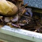 Business 2 image SUPREME GREEN HOME SERVICES Roof Cleaning Services in Vancouver BC