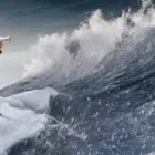 Entreprises 2 image SURF ENGINE MARKETING Search Engine Optimisation Services dans Toronto ON