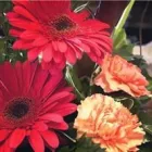 Business 6 image SWAN LAKE FLORIST Shopping in Vernon BC