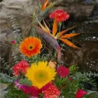 Business 1 image SWAN LAKE FLORIST Shopping in Vernon BC