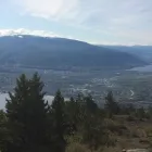 Business 2 image T-REX EXCAVATING & DEMOLITION Industries & Agriculture in West Kelowna BC