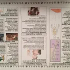 Business 6 image TCM CLINEEK Health & Medicine in Oakville ON