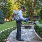 Entreprises 4 image TERMINIX CANADA Pest & Vermin Control dans Burnaby BC