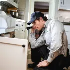 Entreprises 3 image TERMINIX CANADA Pest & Vermin Control dans Burnaby BC