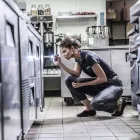 Entreprises 6 image TERMINIX CANADA Pest & Vermin Control dans Burnaby BC