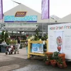 Entreprises 2 image TERRA GREENHOUSES Shopping dans Maple ON
