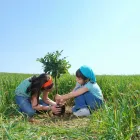 Business 2 image THE CO-OPERATORS Legal & Financial Services in Red Deer AB