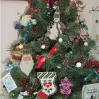 Business 6 image THE CRAFT CONNECTION LTD Shopping in Edmonton AB