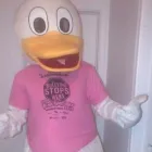 Business 1 image THE DUCT CLEANING SPECIALISTS Real Estate & Home Improvement in Toronto ON