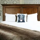 Entreprises 9 image THE FORT GARRY HOTEL, SPA AND CONFERENCE CENTRE, ASCEND HOTEL COLLECTION travel & tourism dans Winnipeg MB