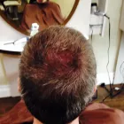 Business 5 image THE HAIR ZONE INC Hair Salons in Toronto ON