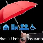 Business 6 image THE INSURANCE HOUSE Legal & Financial Services in Markham ON