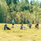 Entreprises 2 image THE LEASH TEAM Pet Sitters dans Edmonton AB