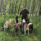 Entreprises 3 image THE LEASH TEAM Pet Sitters dans Edmonton AB