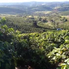 Business 4 image THE MEXICAN ARABICA BEAN COMPANY Tea & Coffee Merchants in Richmond Hill ON